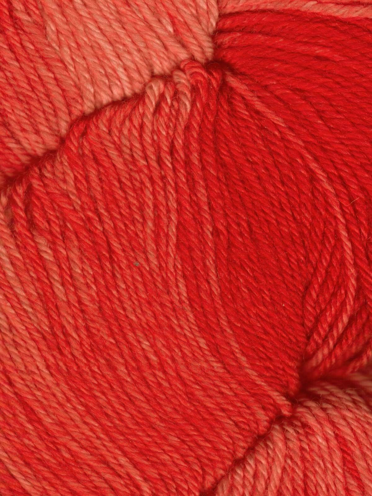 Araucania Huasco Sock Kettle Dyes