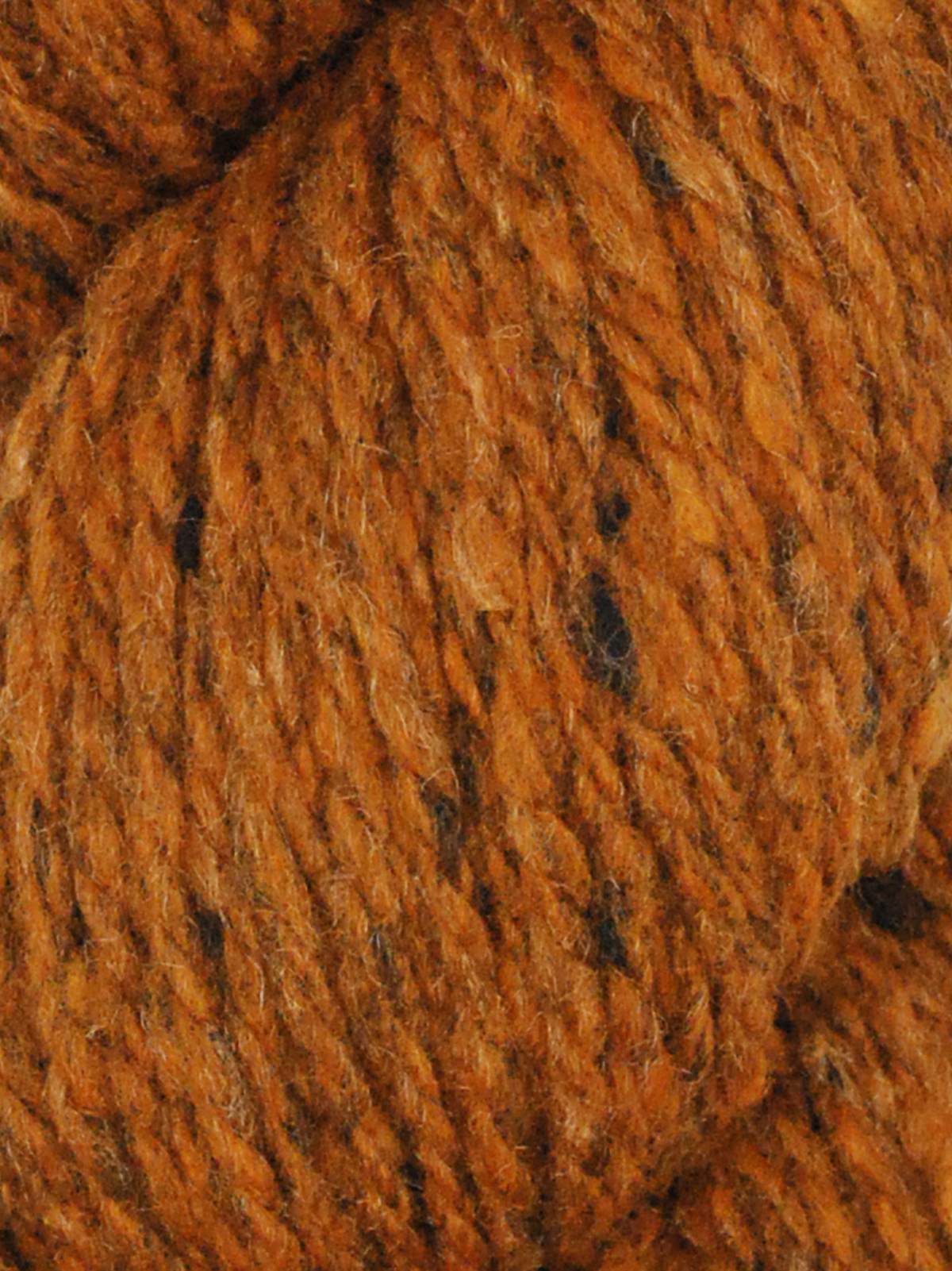 Queensland Collection Kathmandu Aran 100