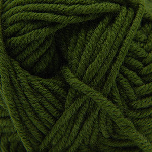 Cascade Elysian 6