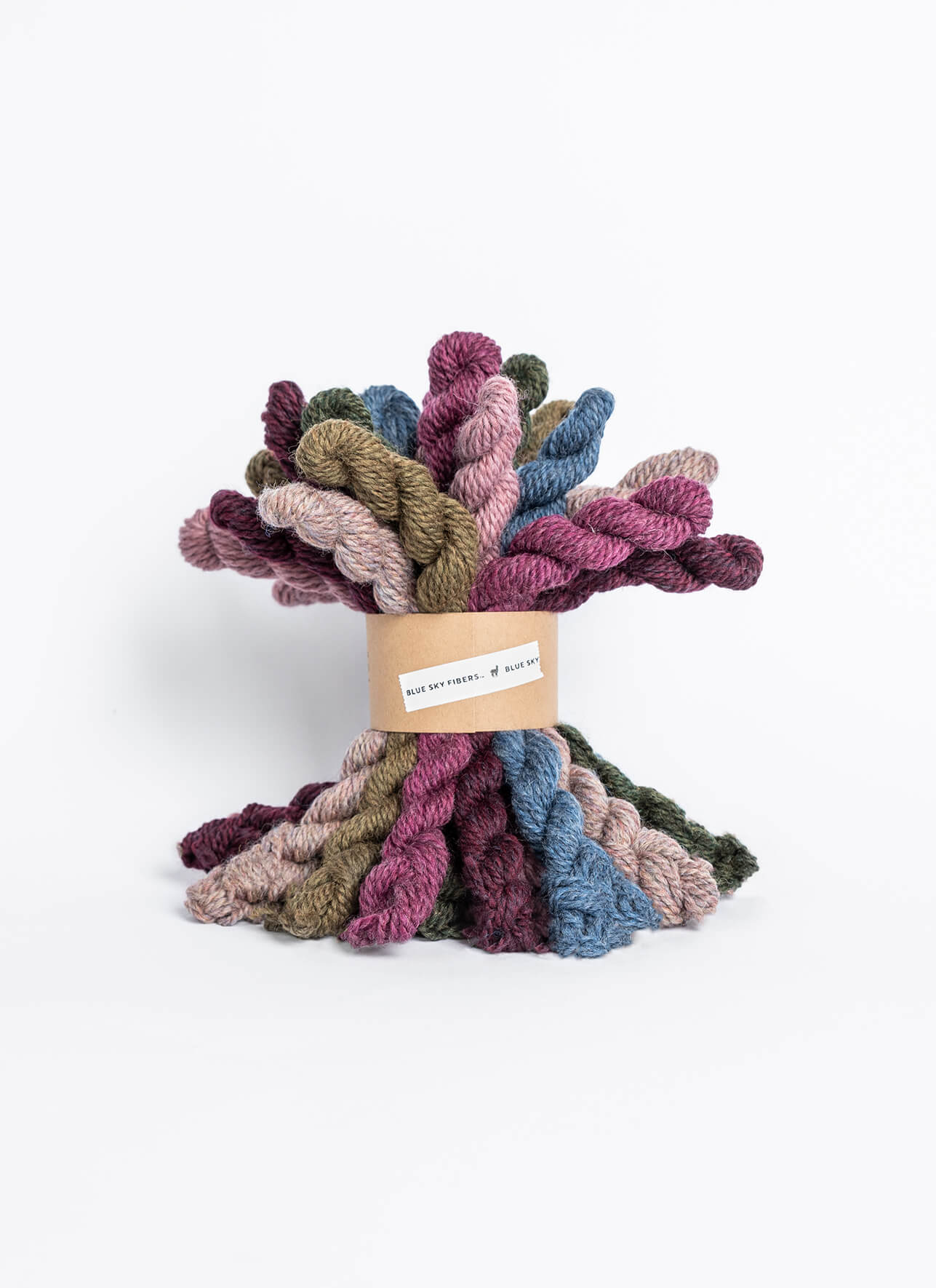 Woolstok Bundle Kit (Bramble & Fig) from Blue Sky Fibers