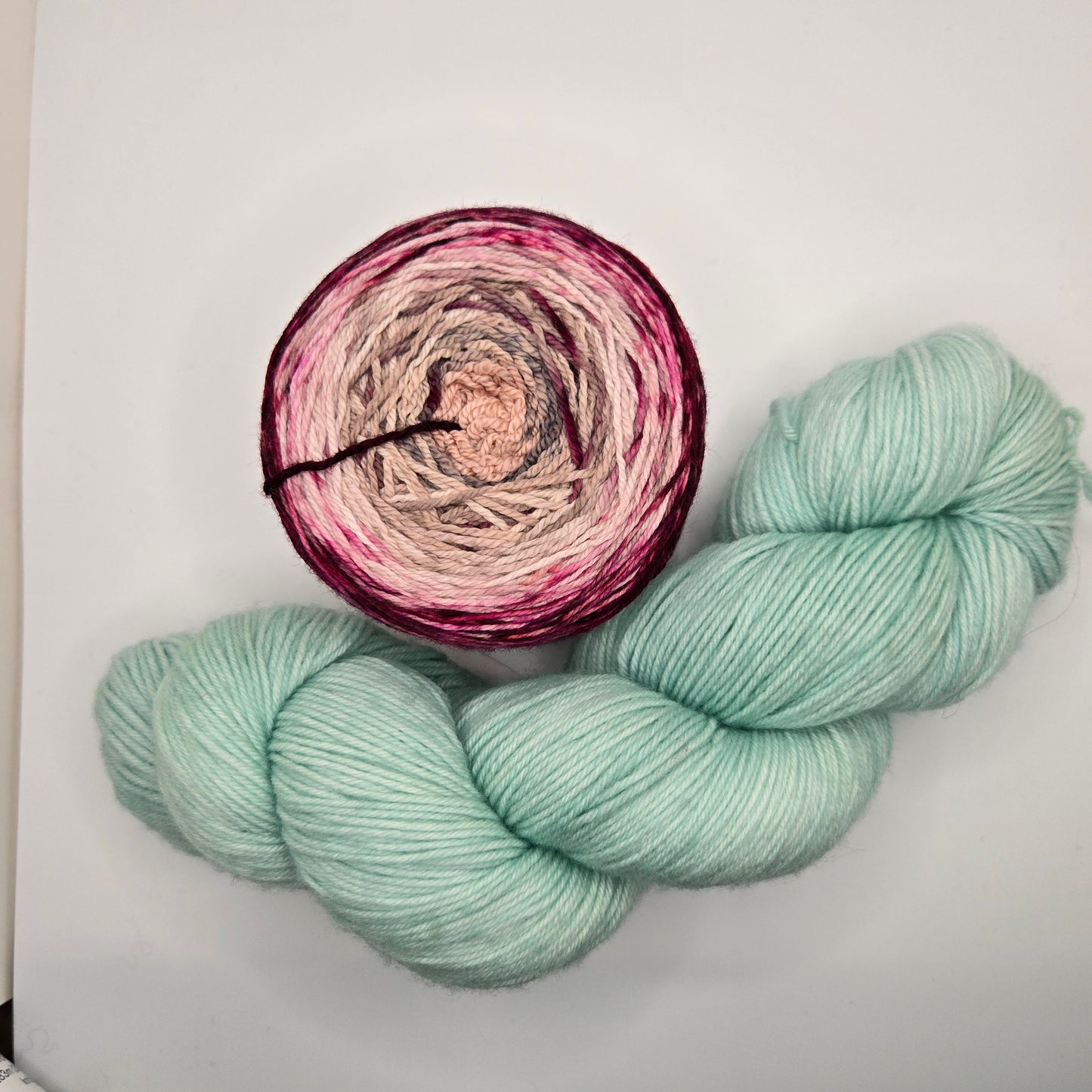 Juniperus Shawlette - HABFC