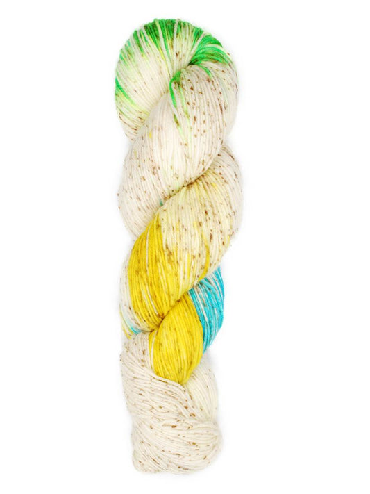 Araucania Huasco Sock Hand Painted
