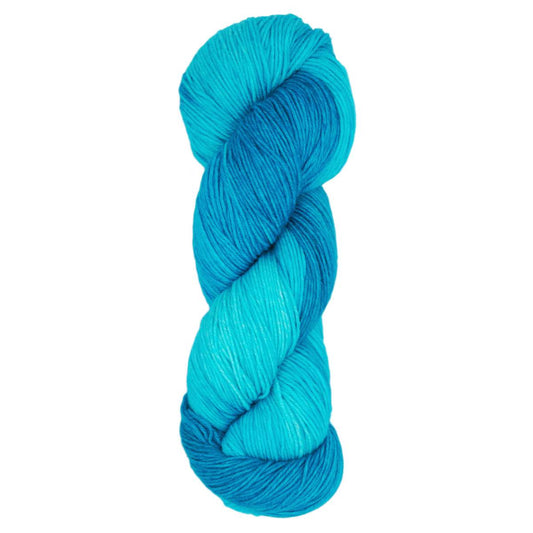 Araucania Huasco Sock Kettle Dyes