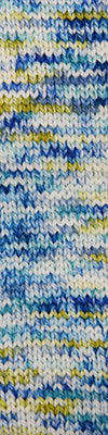 Cascade 128 Superwash & Superwash Hand Paints