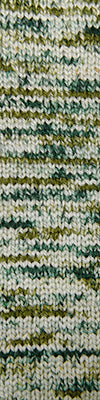 Cascade 128 Superwash & Superwash Hand Paints