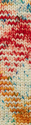 Cascade 128 Superwash & Superwash Hand Paints