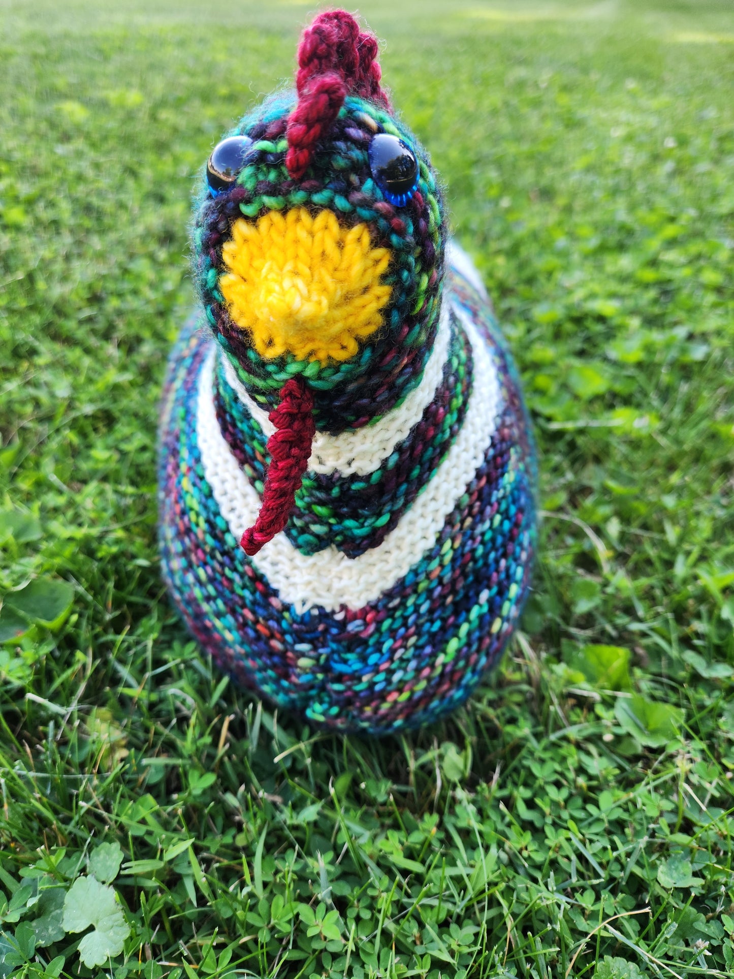 Class:  Emotional Support Chicken (Knit Version)