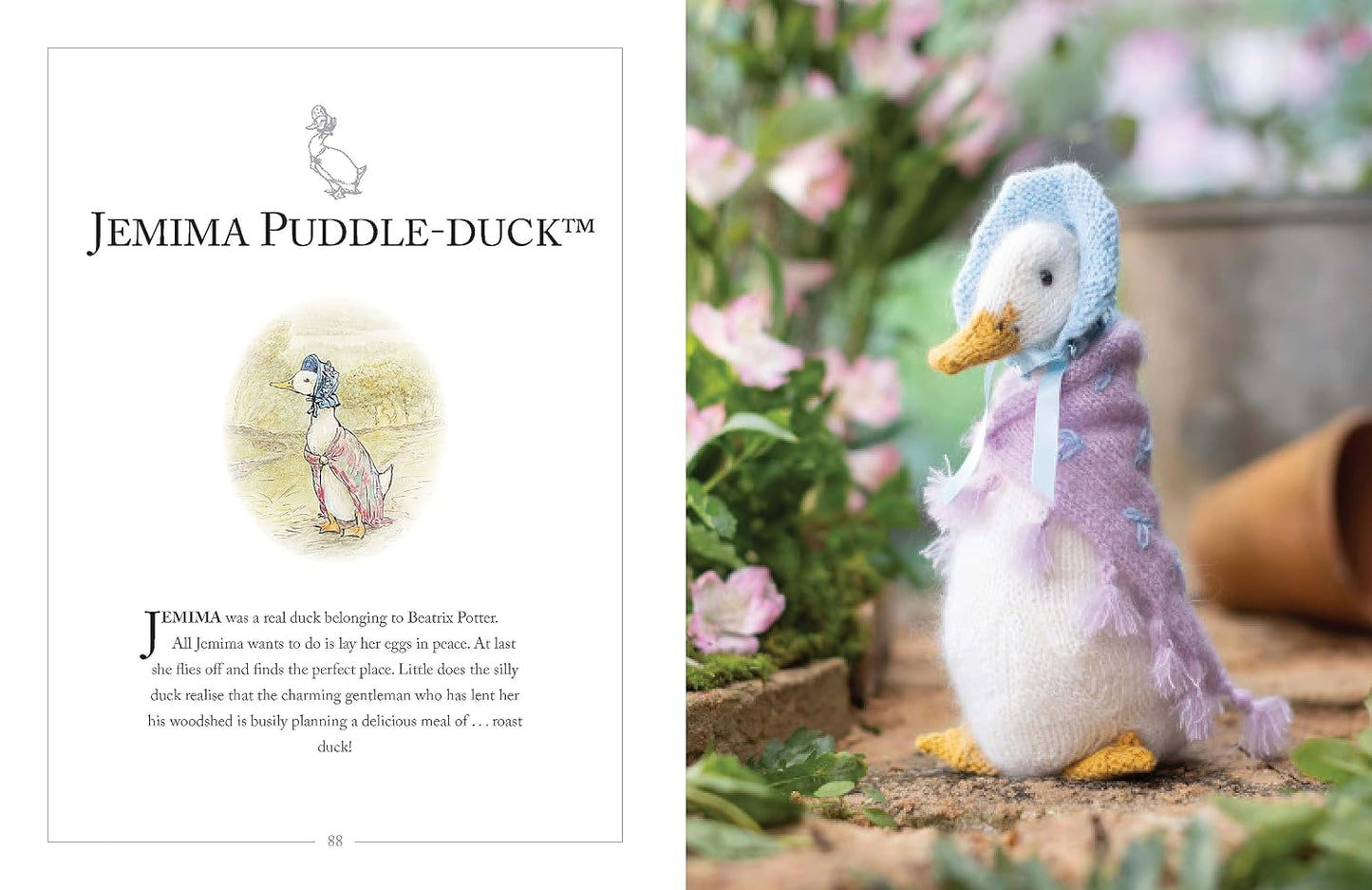 Knitting Peter Rabbit™: 12 Toy Knitting Patterns from the Tales of Beatrix Potter