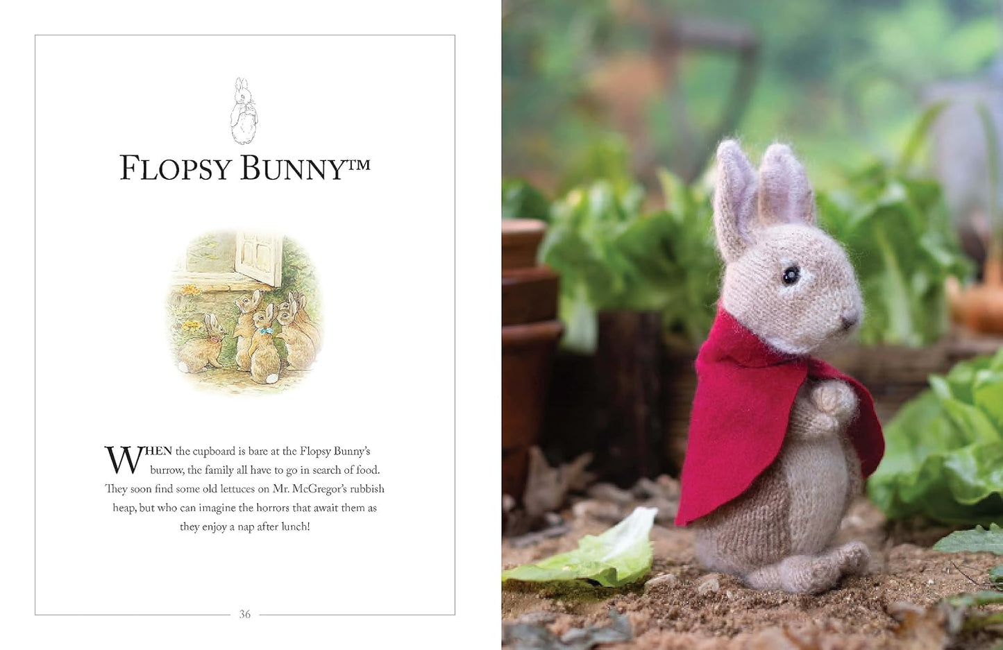 Knitting Peter Rabbit™: 12 Toy Knitting Patterns from the Tales of Beatrix Potter