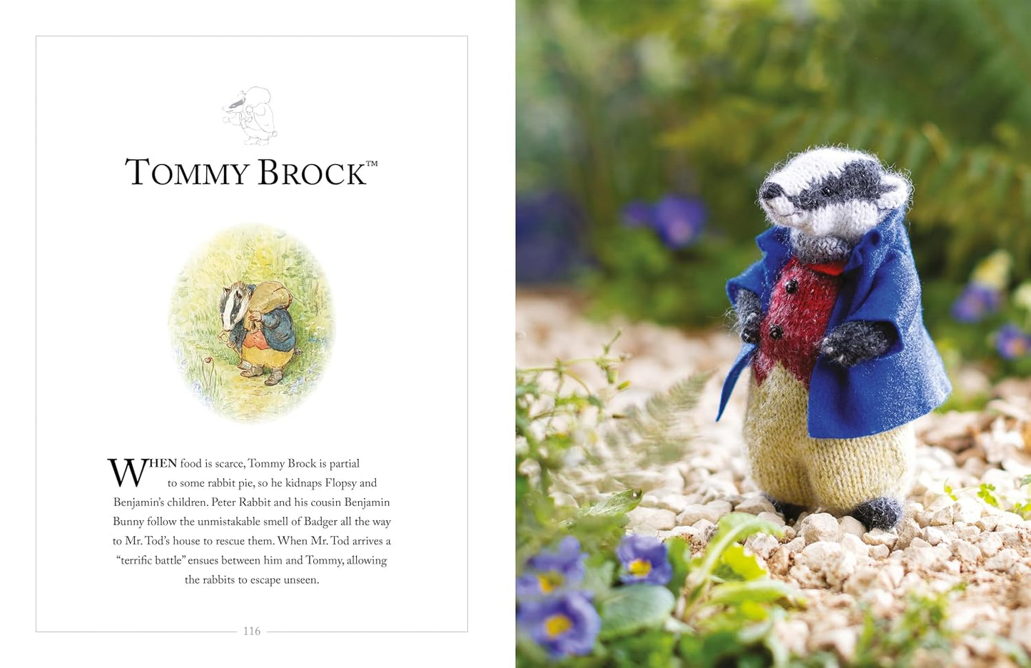 Knitting Peter Rabbit™: 12 Toy Knitting Patterns from the Tales of Beatrix Potter