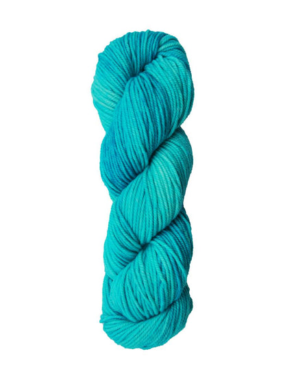 Araucania Huasco Aran Kettle Dyes