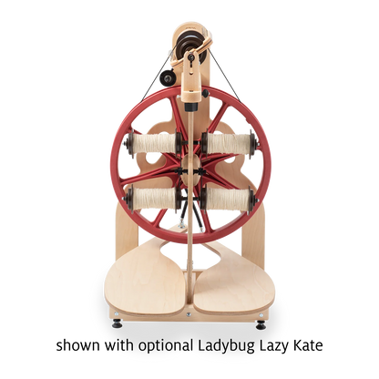 Ladybug Spinning Wheel