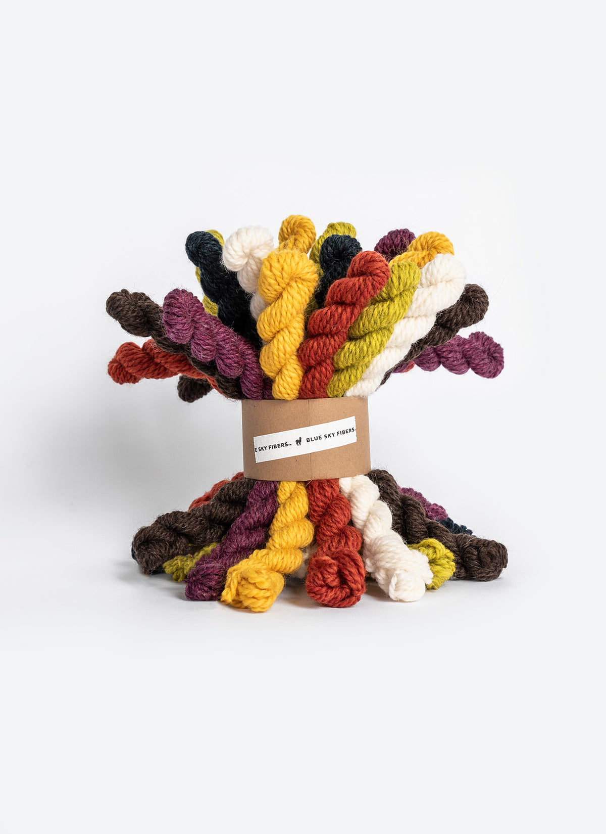 Woolstok Bundle Kits from Blue Sky Fiber