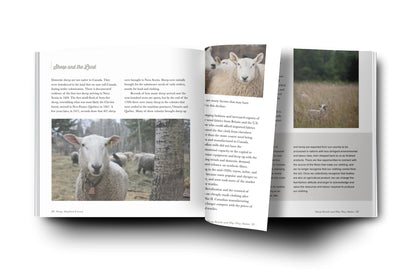 Sheep, Shepherd, & Land: Stories of Sheep Farmers Reinvigorating Canadian Wool